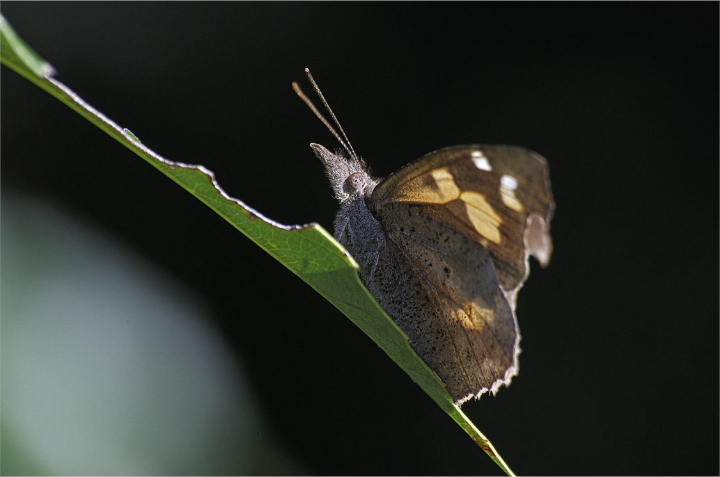 d0209988_202349100.jpg