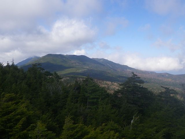 e0271890_151283.jpg