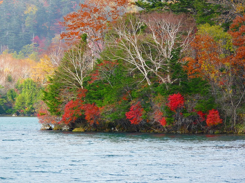 e0202393_11384113.jpg