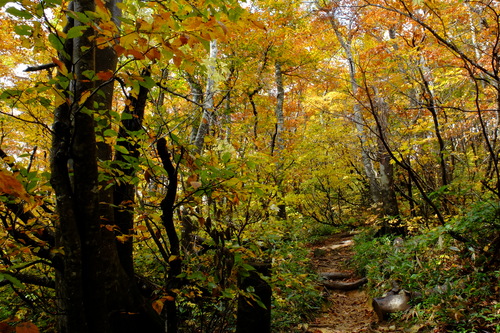 e0304001_22121490.jpg