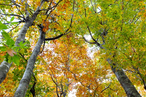 e0304001_2219887.jpg