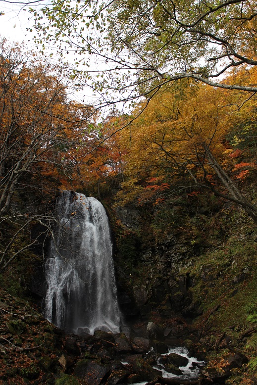 f0034602_21235370.jpg