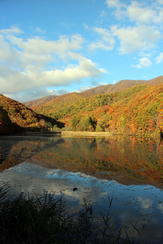 f0034602_21293085.jpg