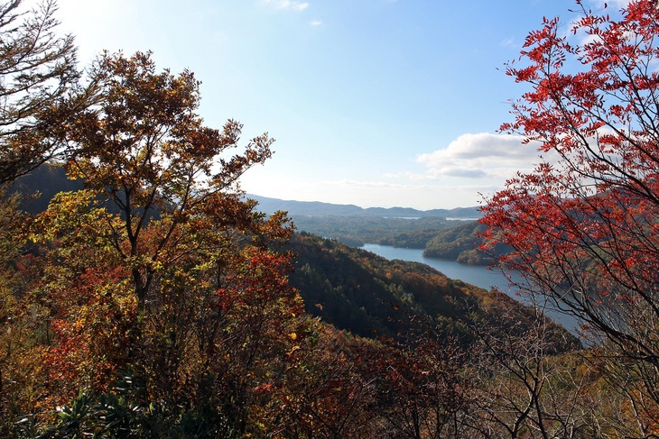 f0034602_21302455.jpg