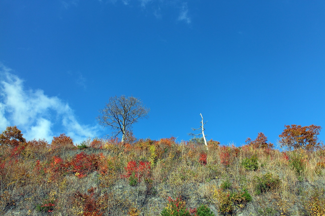 f0034602_21321325.jpg