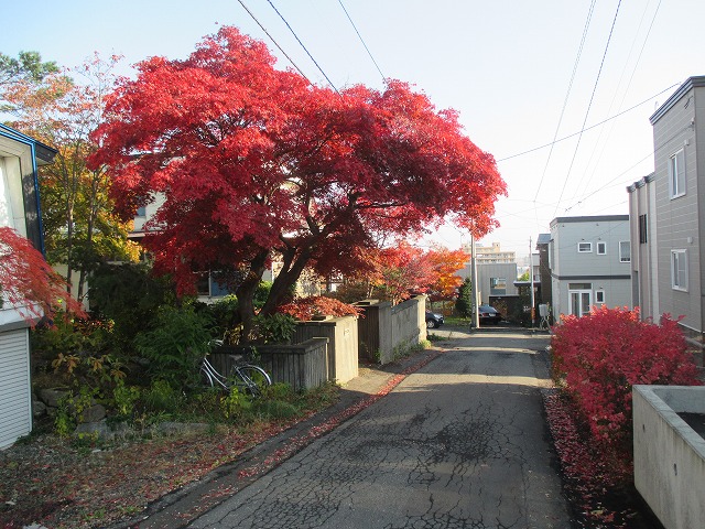 f0202703_20463438.jpg