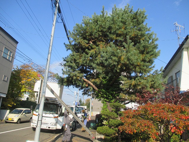 f0202703_205228100.jpg
