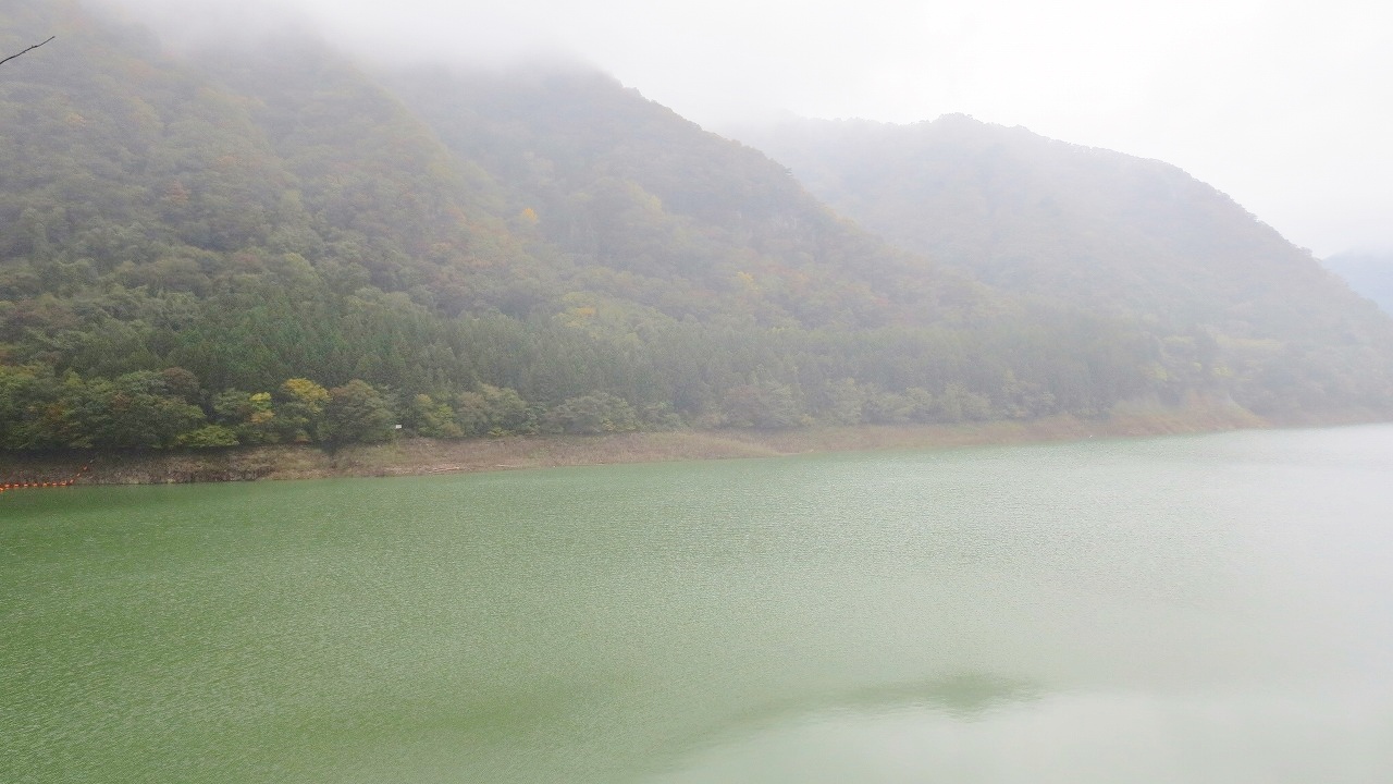 b0163804_1710675.jpg