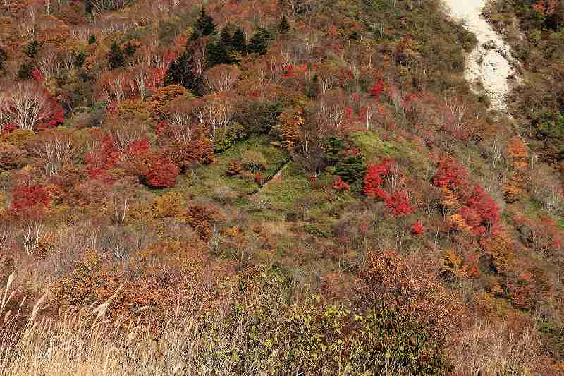 a0188405_17351977.jpg