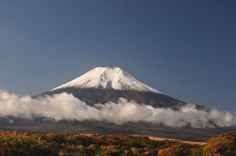 a0188405_9441811.jpg
