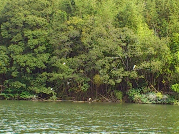 b0009106_7482638.jpg