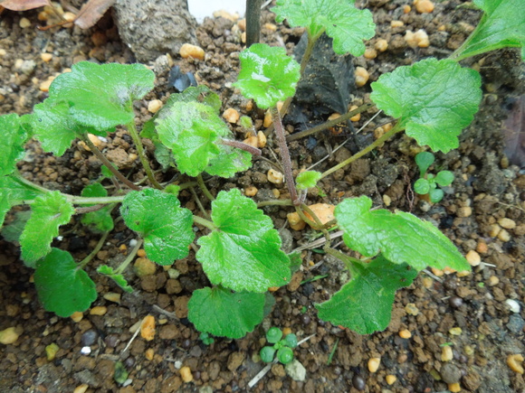 f0297809_23362933.jpg