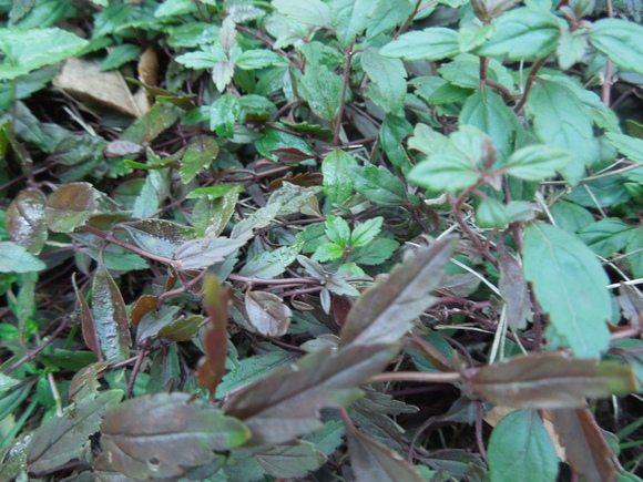 f0297809_23385895.jpg