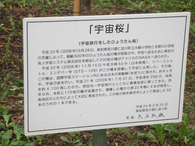 f0248616_11385445.jpg