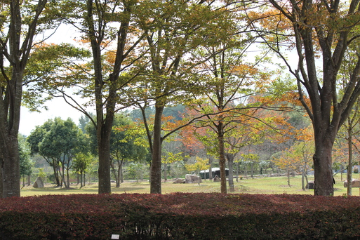 b0197418_20513378.jpg