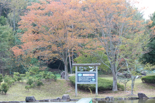 b0197418_20523669.jpg