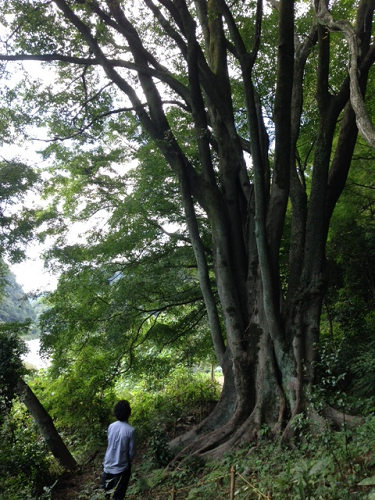 e0123920_200967.jpg