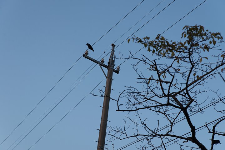 b0134829_16562610.jpg