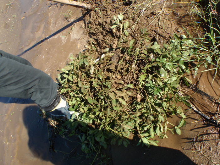c0034029_2153865.jpg