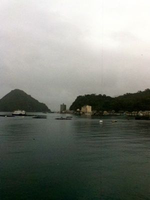 f0165831_21552792.jpg