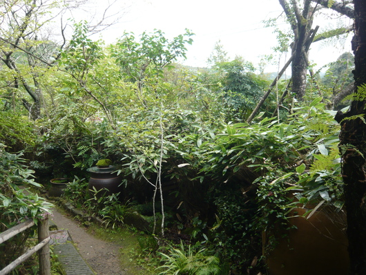 a0206332_8333694.jpg