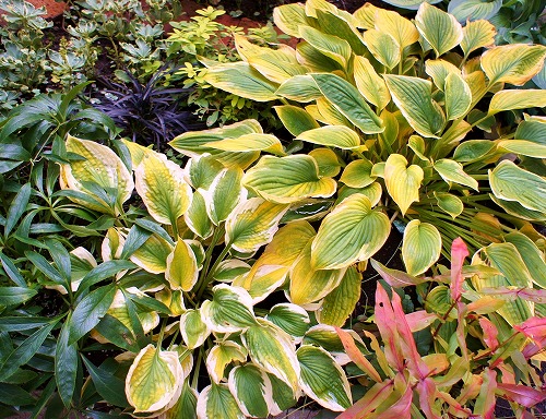 f0205733_026359.jpg