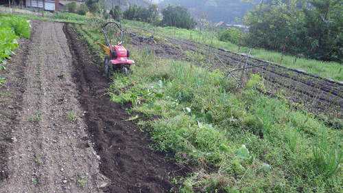 c0300035_17363774.jpg