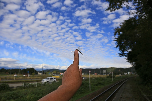 a0242438_18303861.jpg
