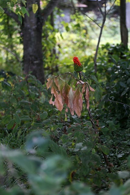 a0242438_1830886.jpg