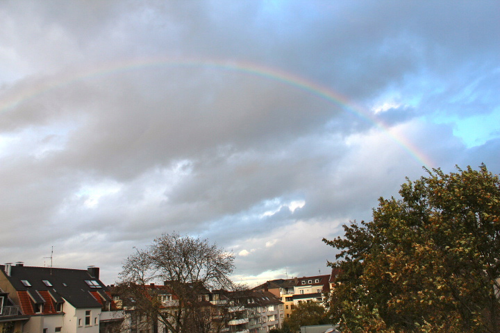 c0153740_23182621.jpg