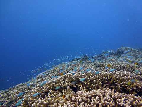 f0014842_15561442.jpg