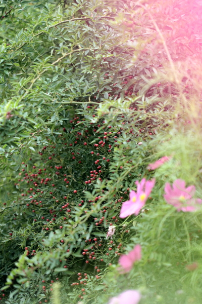 a0258549_01350100.jpg