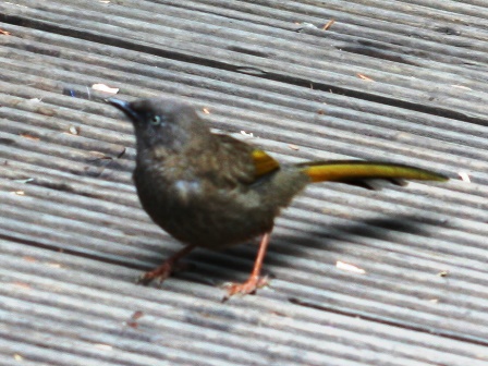 b0289649_13222561.jpg