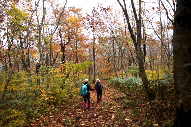 f0214649_5112182.jpg