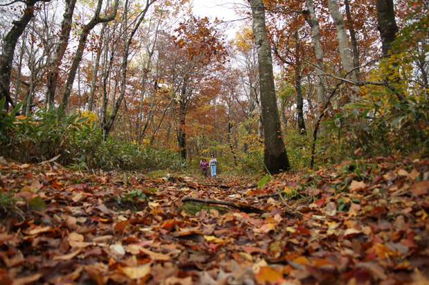 f0214649_5125687.jpg