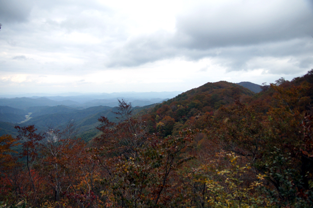 f0214649_5235022.jpg