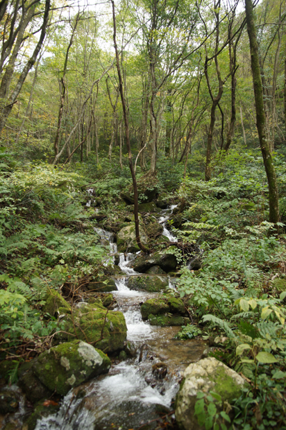 f0214649_5292720.jpg