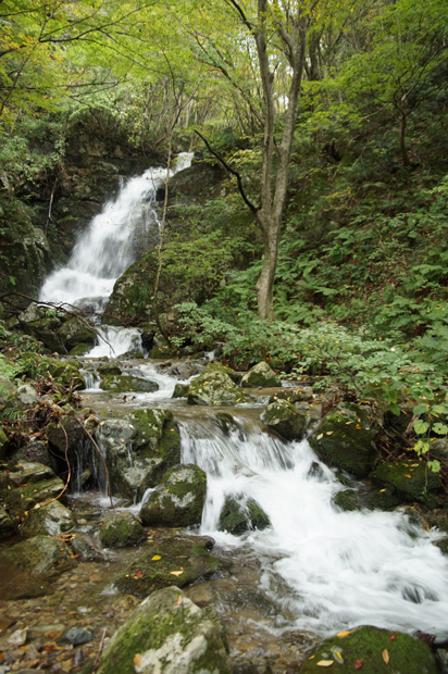 f0214649_5304065.jpg