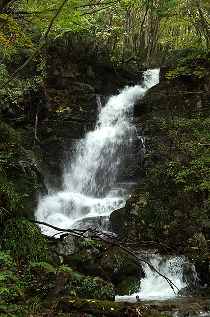 f0214649_5323995.jpg