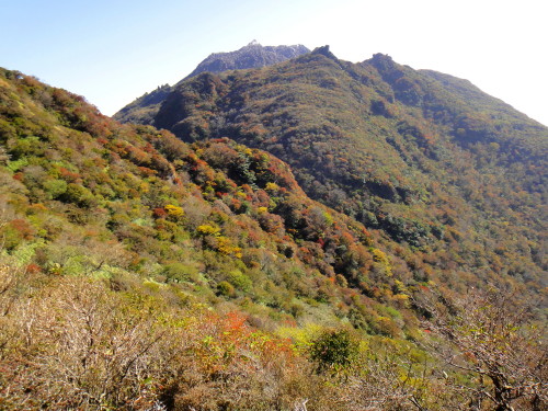 c0179351_17482225.jpg