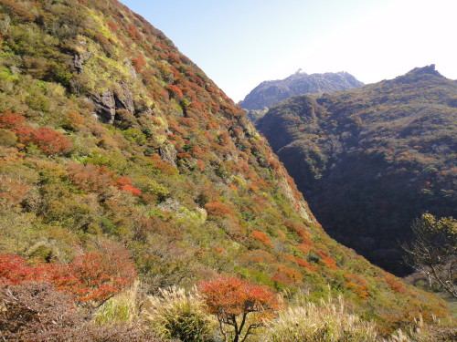c0179351_17491354.jpg