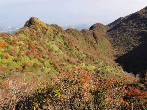 c0179351_17494846.jpg