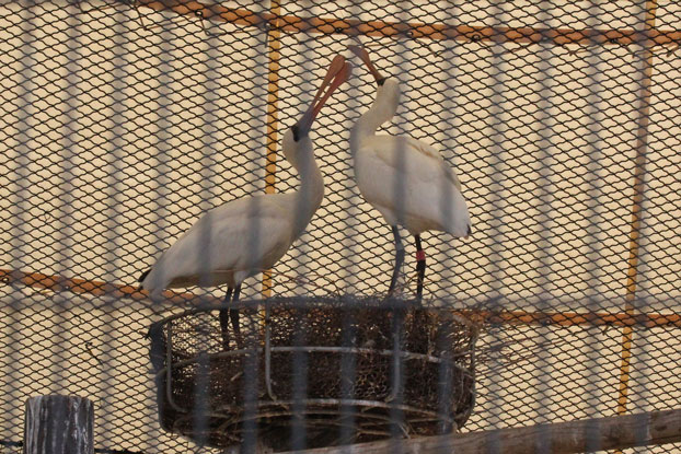 e0294253_0154631.jpg