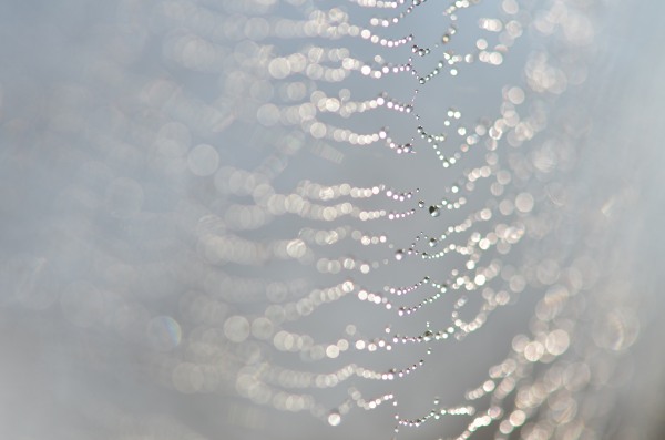 f0297861_2114612.jpg