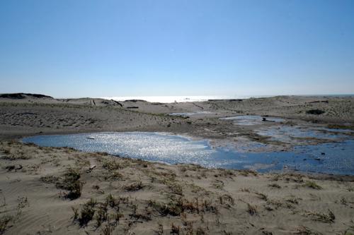 f0044063_10481352.jpg