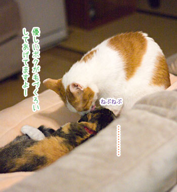 a0119470_1259278.jpg