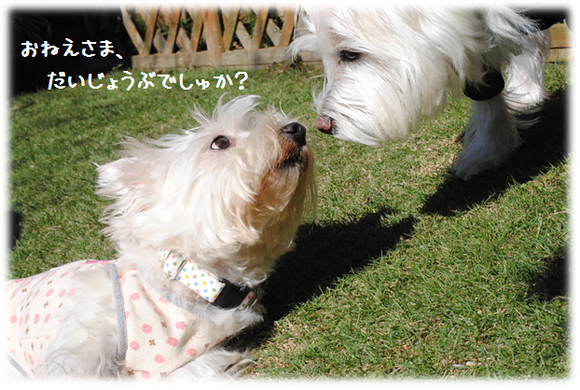 b0242873_0453069.png
