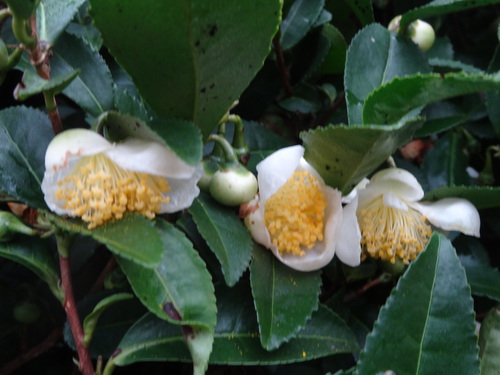 f0231573_23143464.jpg