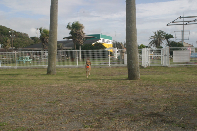 b0246876_21335178.jpg