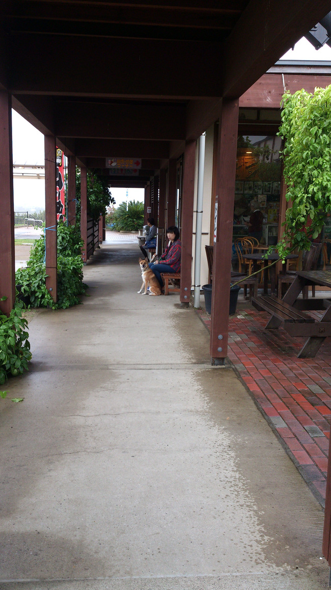 b0246876_22402828.jpg
